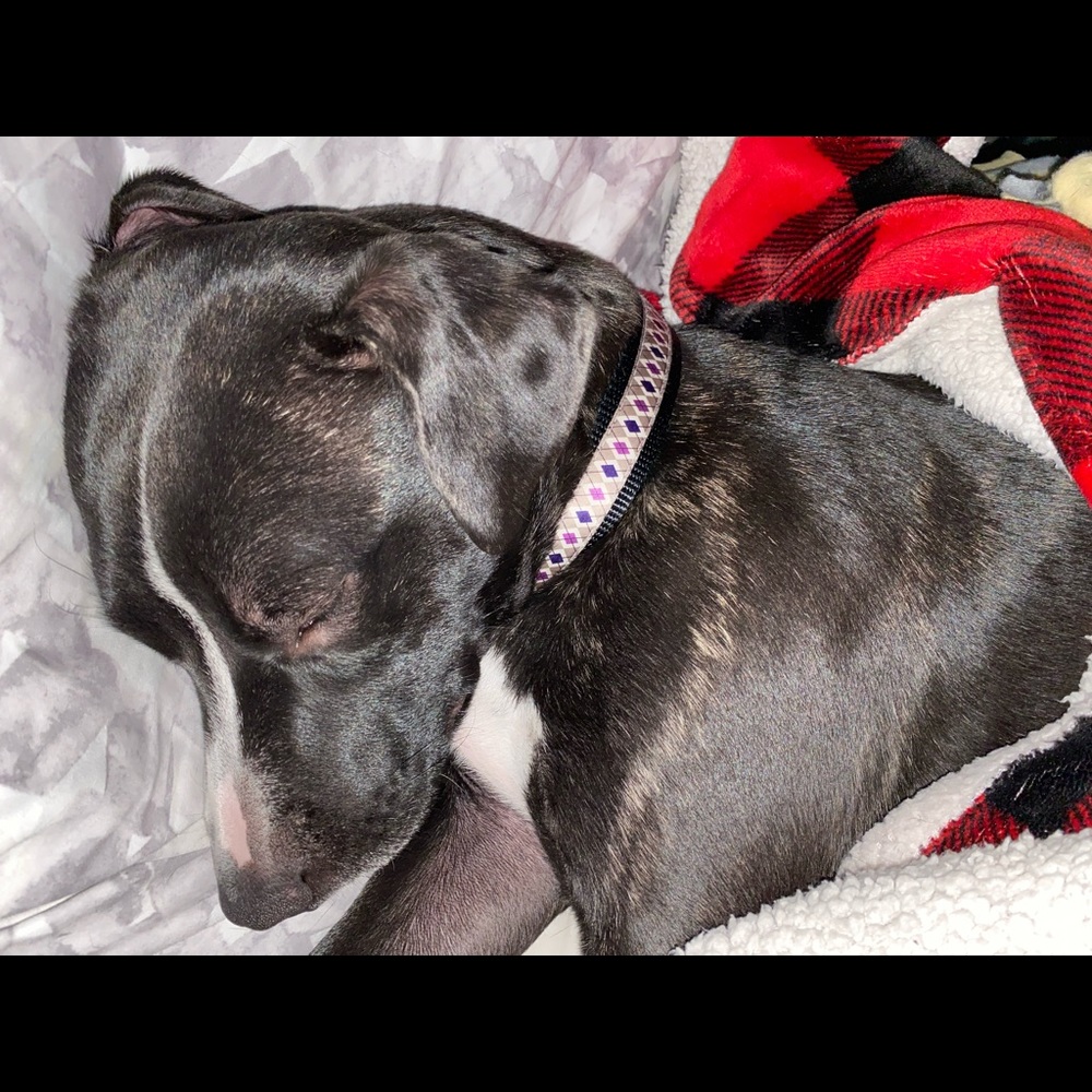 Meet your Posher, Camryn